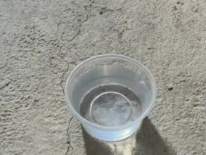 DUCHA PORTATIL